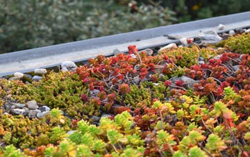 the cost of Benter green roof installation
