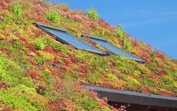 Benter living roof systems